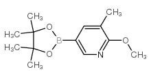 2-甲氧基-3-甲基-5-(4,4,5,5-四甲基-[1,3,2]二噁硼烷-2-基)-吡啶