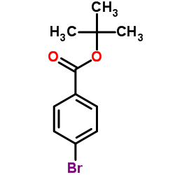 叔-丁基 4-溴苯甲酸