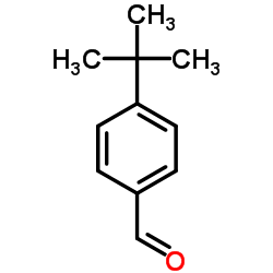 4-叔丁基苯甲醛 97.0%