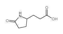 3-(5-氧代-吡咯烷-2-基)-丙酸