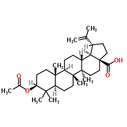 3Beta-乙酰氧基白桦酸