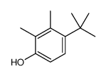 (1,1-二甲基乙基)二甲基苯酚