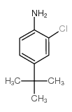 4-叔丁基-2-氯苯胺