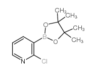 2-氯吡啶-3-硼酸频哪醇酯