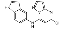 5-氯-n-1H-吲哚-5-基吡唑并[1,5-a]嘧啶-7-胺