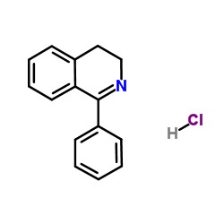 1-苯基-3,4-二氢异喹啉盐酸盐