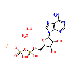 腺苷-5'-二磷酸一钾