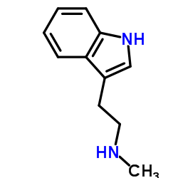 N-ω-甲基色胺