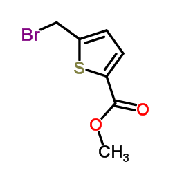 5-(溴甲基)-2-噻吩羧酸甲酯