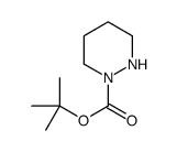四氢-吡嗪-1-羧酸叔丁酯