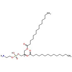1,2-二肉豆蔻酰-sn-丙三基-3-磷脂酰乙醇胺