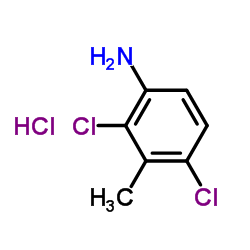 2,4-二氯-3-甲基苯胺