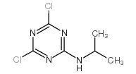 2,4-二氯-6-异丙基氨基-1,3,5-三嗪
