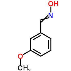 (E)-3-甲氧基苯(甲)醛肟