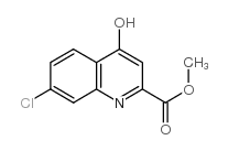 7-氯-4-羟基喹啉-2-羧酸甲酯 (5347-19-3)
