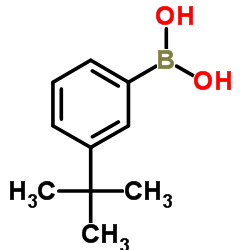 3-叔丁基苯硼酸