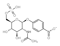 4-硝基苯基-2-乙酰氨基-2-脱氧-β-D-吡喃葡萄糖苷-6-硫酸钾