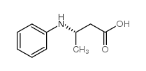 (S)-3-苯氨基丁酸
