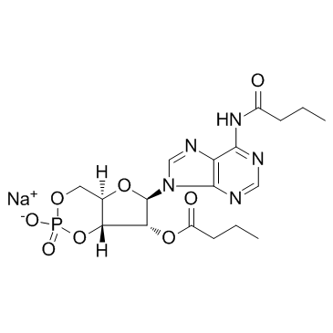 N6,2''-O-二丁酰基腺苷3'',5''-环磷酸 钠盐 97.0%