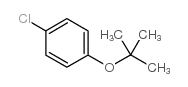 对氯苯基叔丁基醚 (18995-35-2)