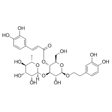 毛蕊花糖苷 分析对照品试剂