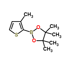 3-甲基噻吩-2-硼酸频哪醇酯