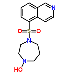 N-羟基法舒地尔杂质
