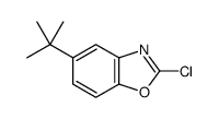 5-叔丁基-2-氯-苯并噁唑 (1027076-19-2)