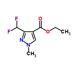 3-二氟甲基-1-甲基吡唑-4-甲酸乙酯 (141573-95-7)