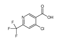 4-氯-6-(三氟甲基)烟酸