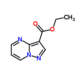 吡唑并[1,5-a]嘧啶-3-羧酸乙酯