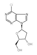 6-氯嘌呤 2’-脱氧核苷
