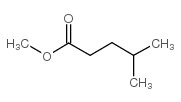 4-甲基戊酸甲酯
