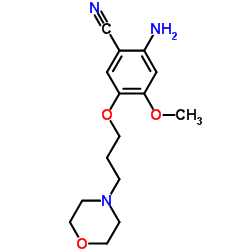 2-氨基-4-甲氧基-5-(3-吗啉丙氧基)苯腈