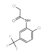 2-氯-N-(2-氯-5-三氟甲基苯基)-乙酰胺
