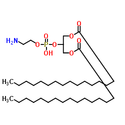 1,3-二棕榈酰-glycero-2-磷酸乙醇胺 (67303-93-9)
