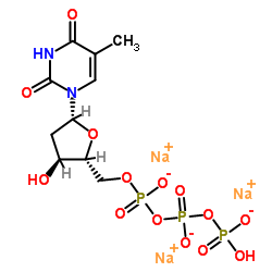 2'-脱氧胸苷-5'-三磷酸