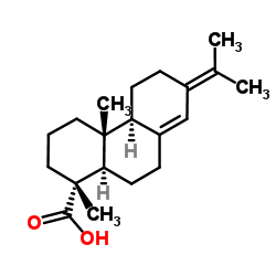 新松脂酸 (471-77-2)