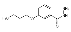3-丁氧基苯甲酸肼