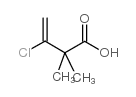 3-氯-2,2-二甲基-3-丁酸