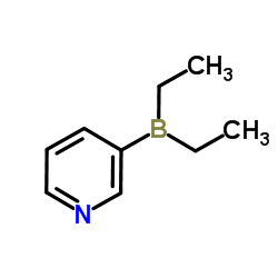 二乙基(3-吡啶基)硼烷 98.0%