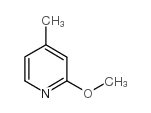 2-甲氧基-4-甲基吡啶 (100848-70-2)