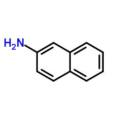 2-萘胺