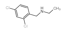 N-乙基-2,4-二氯苄胺