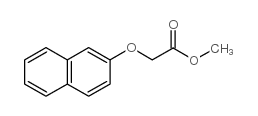 2-萘乙酸甲酯