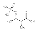 L-2-氨基-3-羟基丁酸-3-磷酸酯