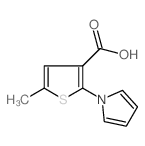 5-甲基-2-吡咯-3-噻吩甲酸
