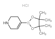 1,2,3,6-四氢-4-(4,4,5,5-四甲基-1,3,2- 二噁硼烷-2-基)吡啶盐酸盐