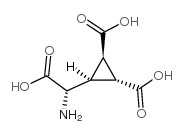 (2S,2R,3R)-2-(2,3-二甲基环丙基)甘氨酸