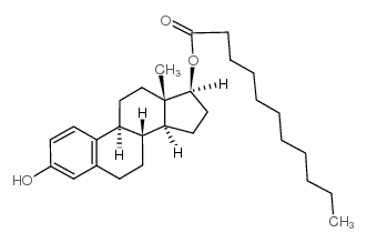 十一酸雌二醇 (3571-53-7)